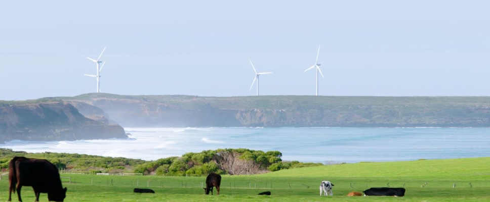Cape Nelson North/Sir William Grant Wind Farm