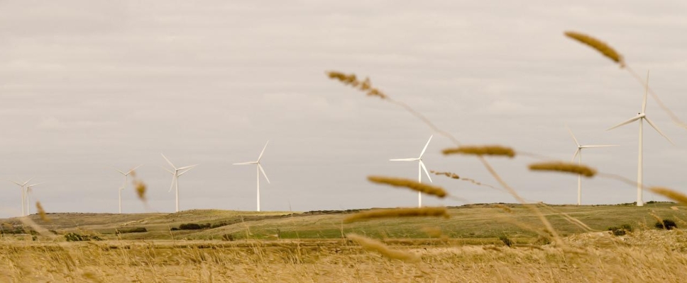 Codrington Wind Farm