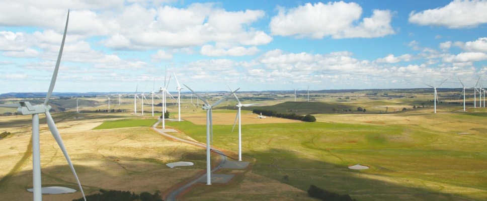 Taralga Wind Farm