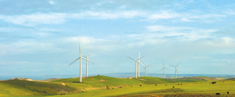 Codrington Wind Farm