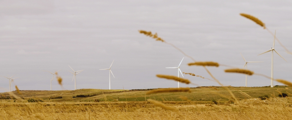 Codrington wind Farm Pacific Blue